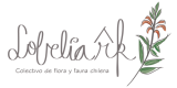 Lobelia RK | Colectivo de flora y fauna chilena